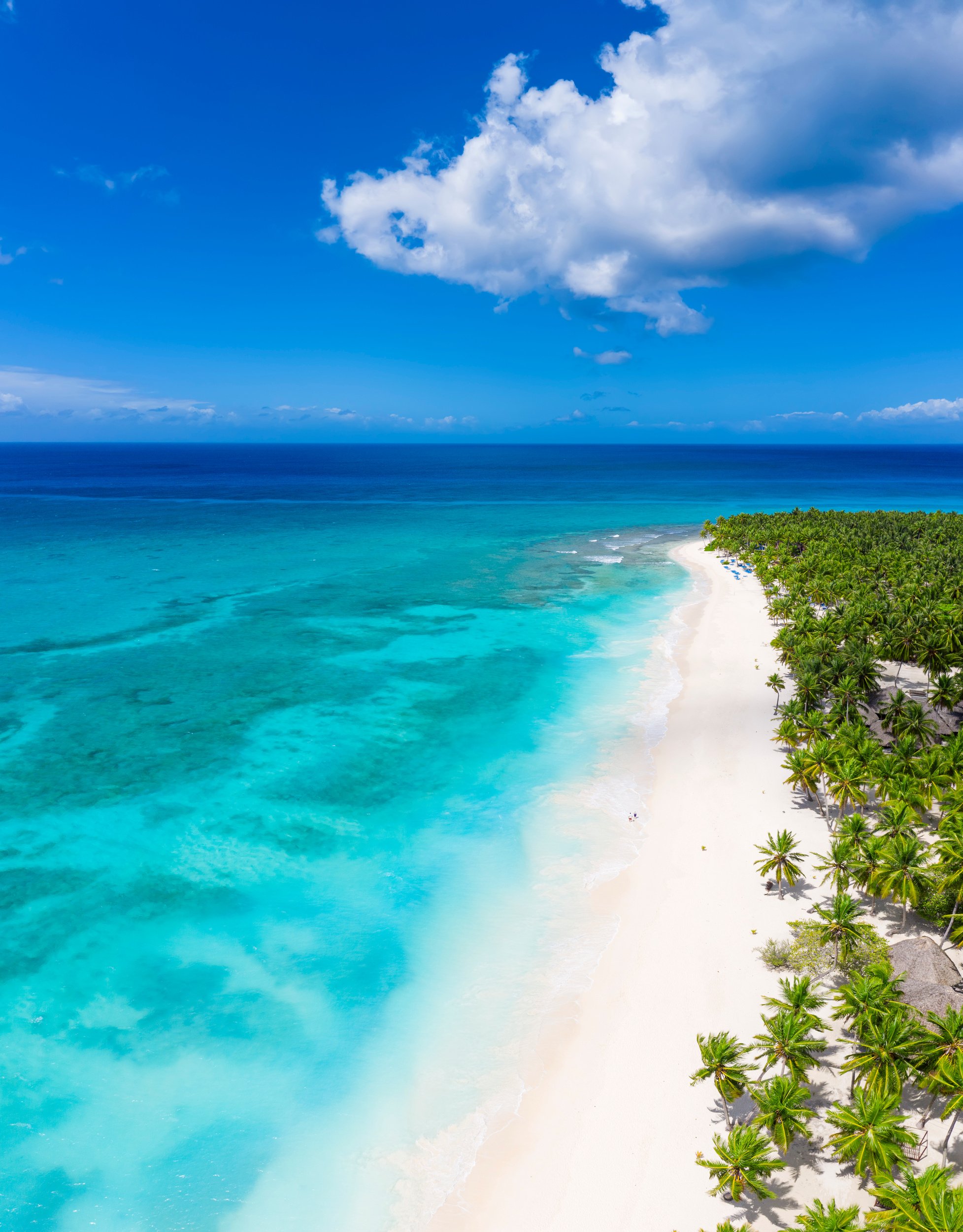 Tropical carribbean beach